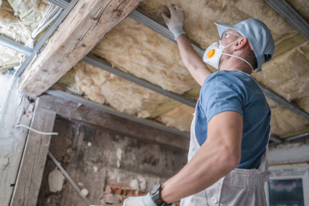 Best Spray Foam Insulation  in Double Oak, TX
