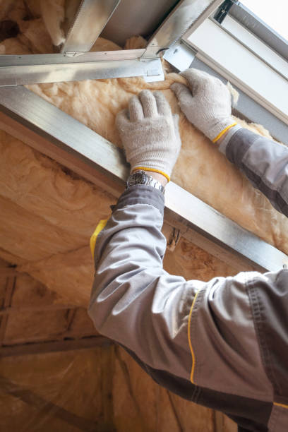 Best Insulation Replacement Services  in Double Oak, TX