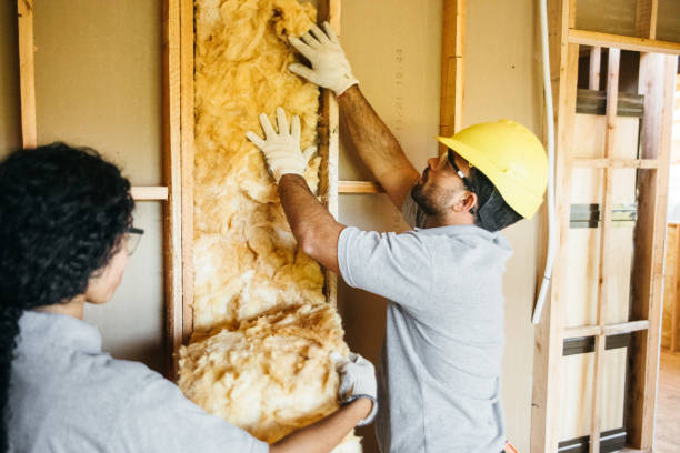 Best Insulation Removal  in Double Oak, TX