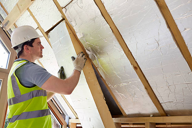 Best Spray Foam Insulation  in Double Oak, TX