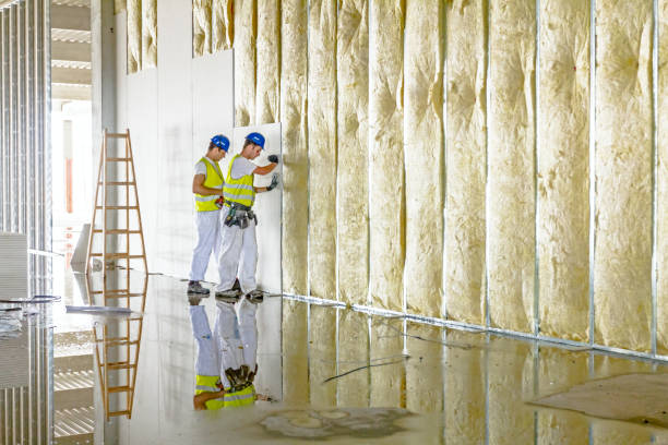 Garage Insulation Installation in Double Oak, TX